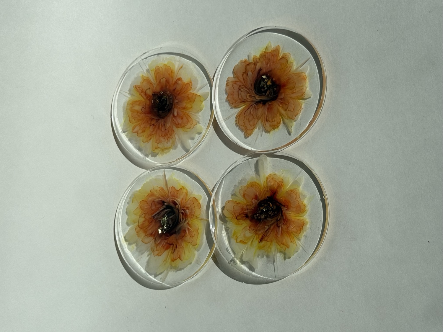 Clear round coasters with orange flower