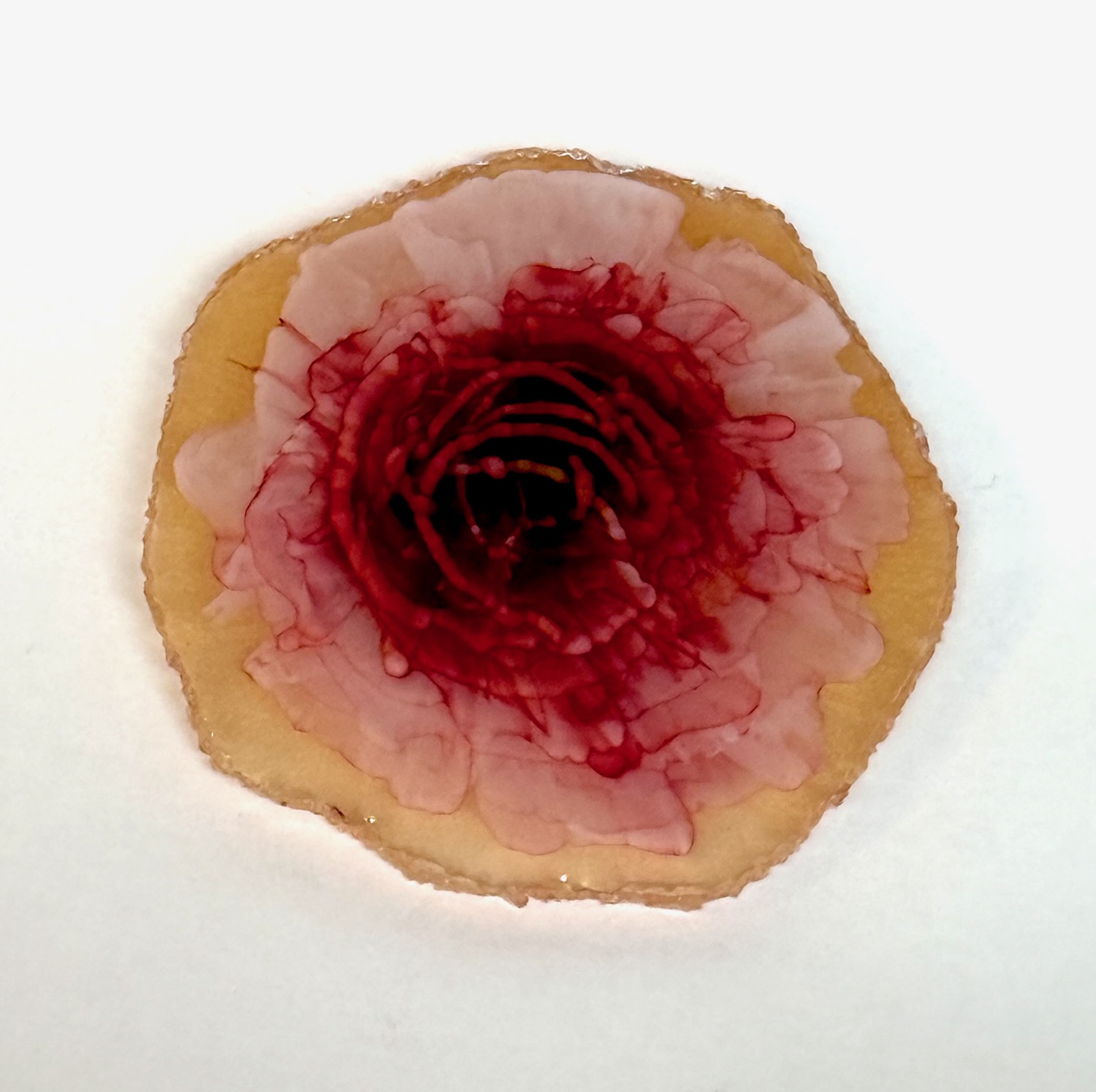 Rose garden coaster view 3