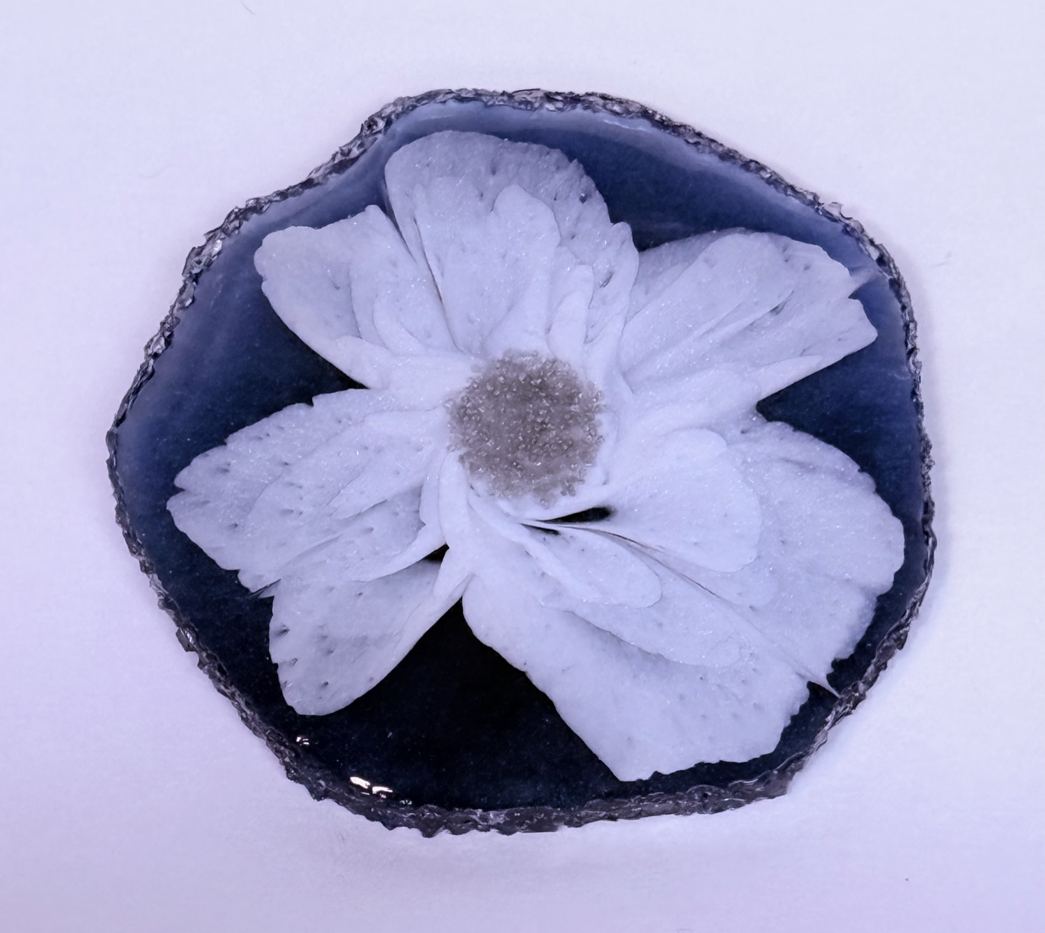 Navy daisy coaster view 2