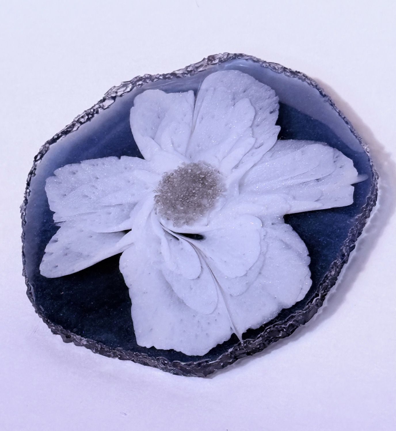 Navy daisy coaster view 3