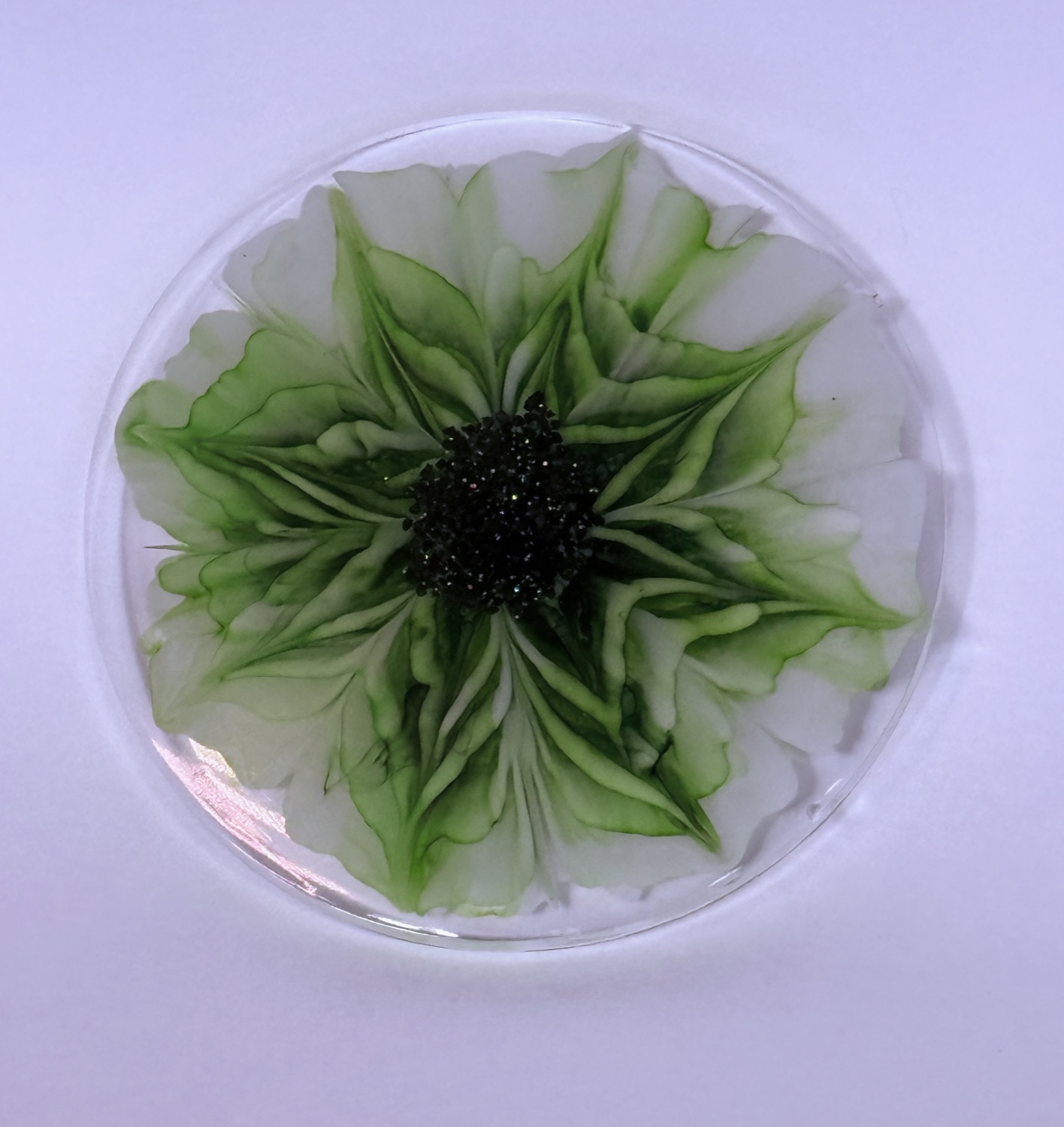 Green star flower coaster view 3