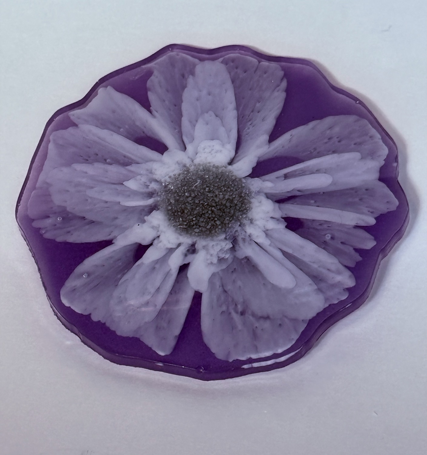 Violet bloom coaster view 2