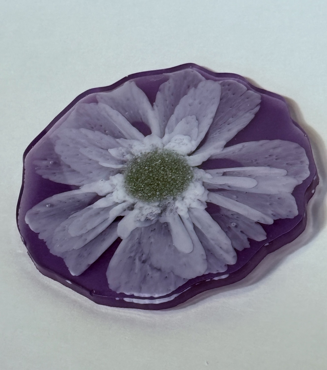 Violet bloom coaster view 3