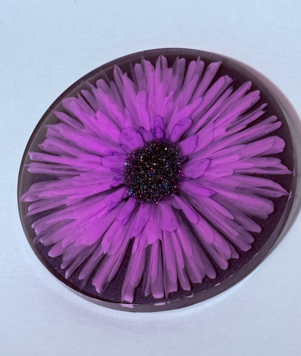 Purple daisy coaster view 3
