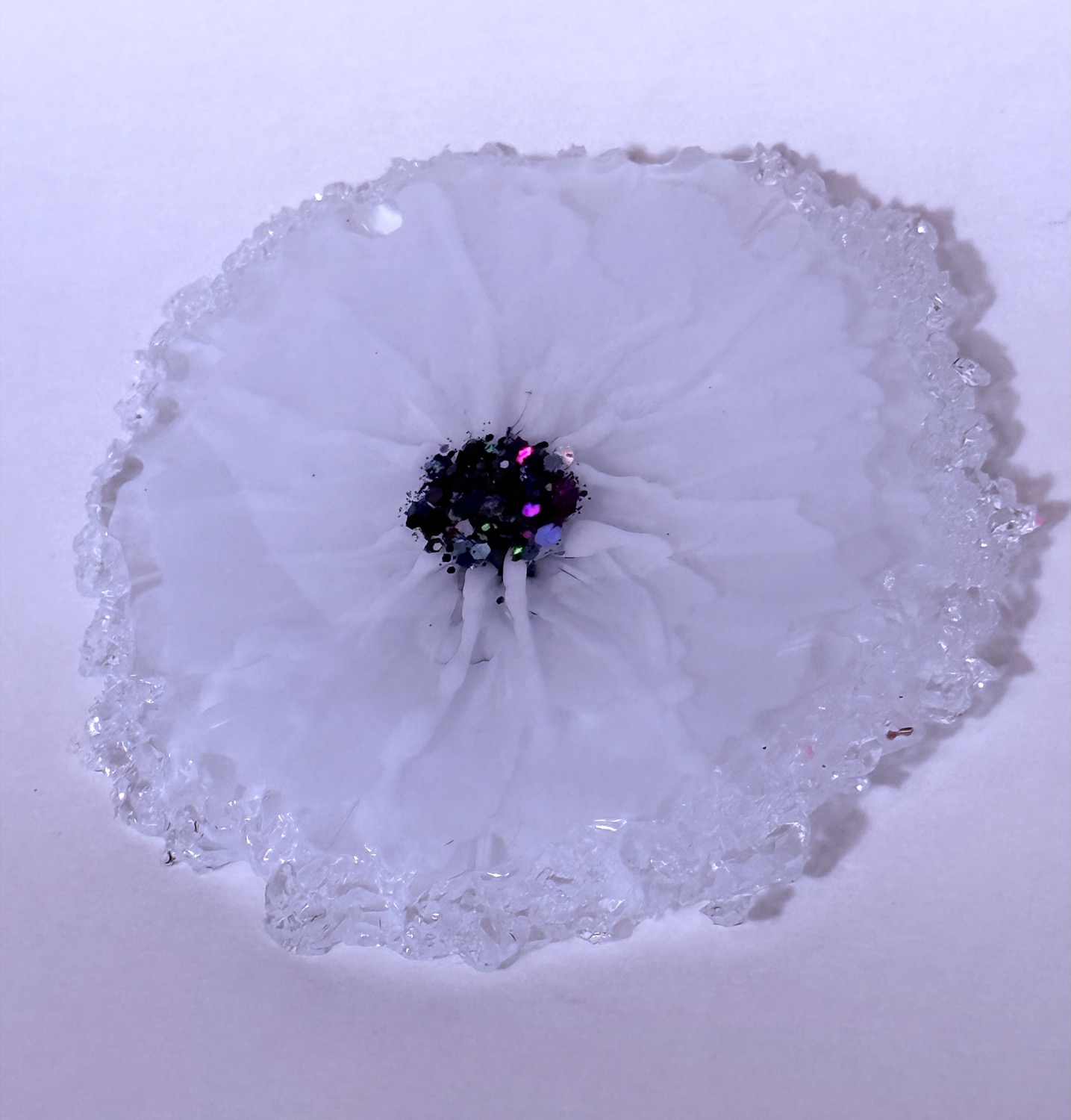 White daisy coaster view 3