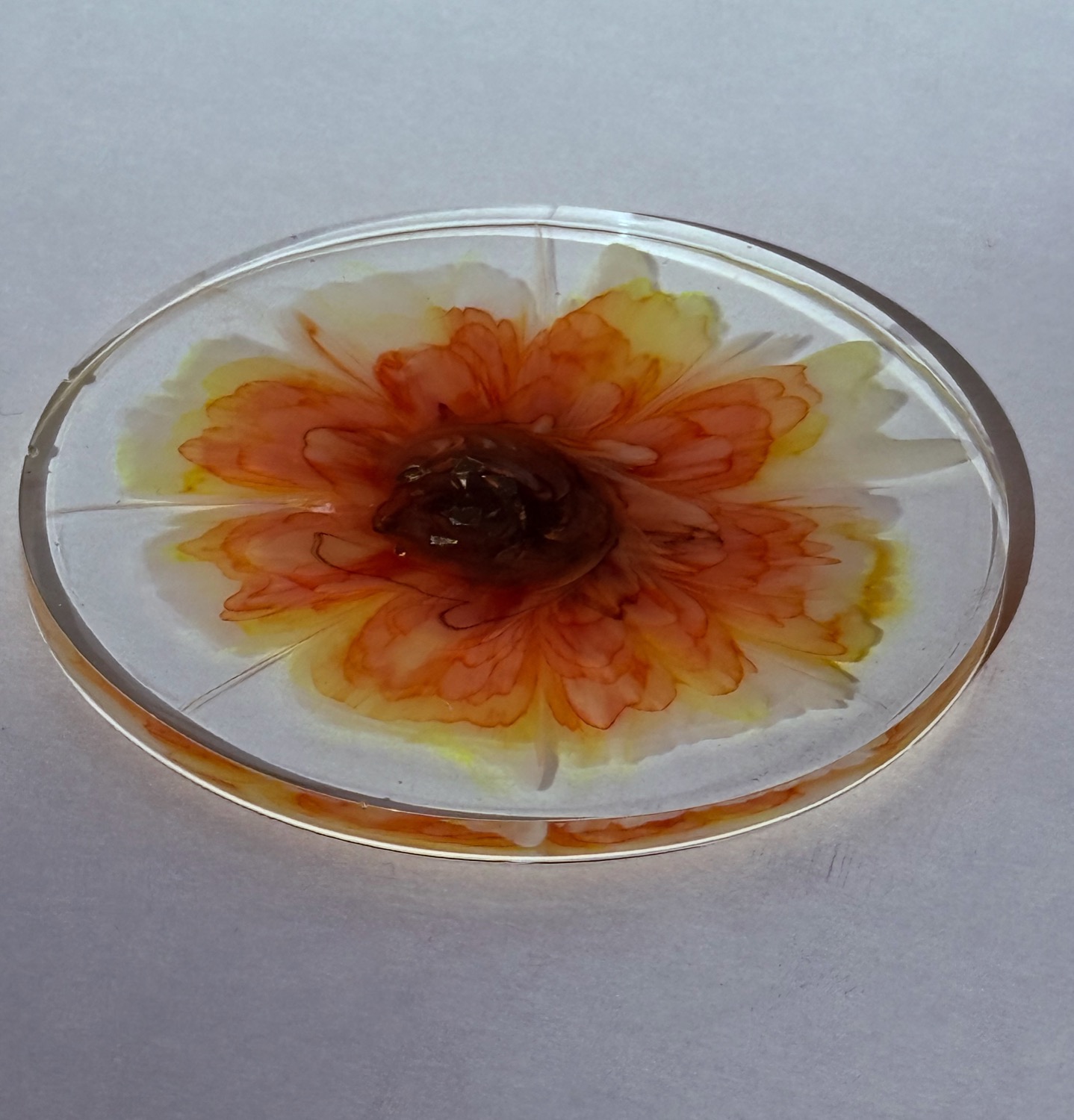 Autumn bloom coaster view 3