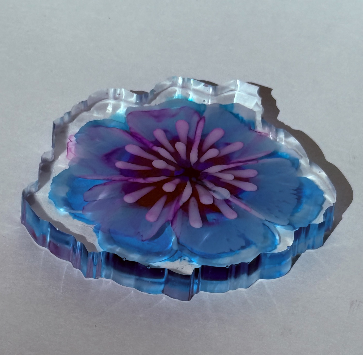Blue anemone coaster view 2