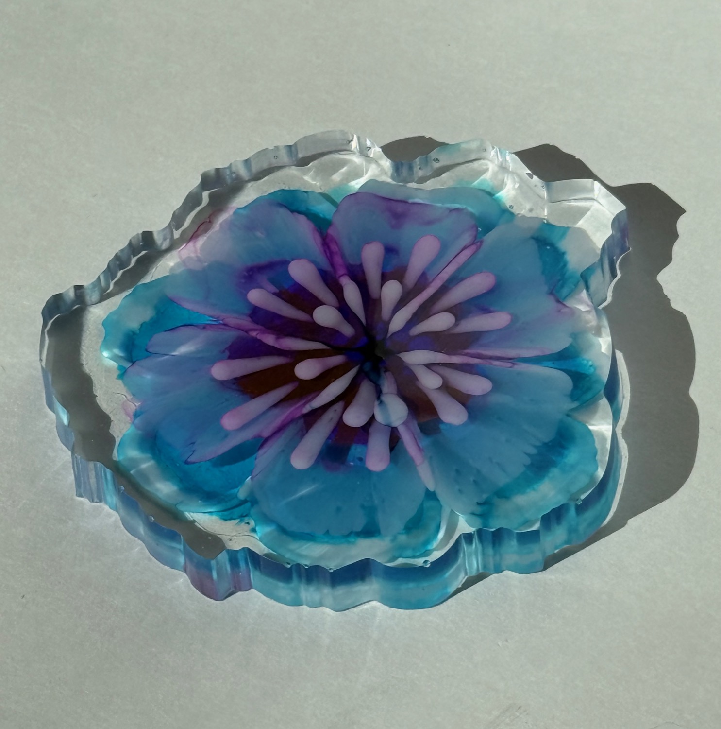 Blue anemone coaster view 3