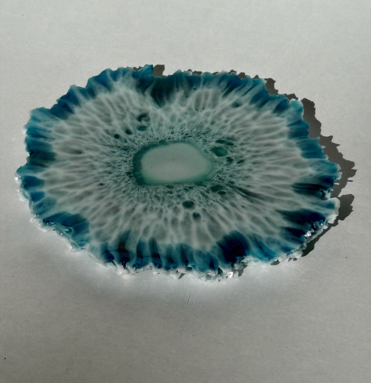 Blue lace flower coaster view 2