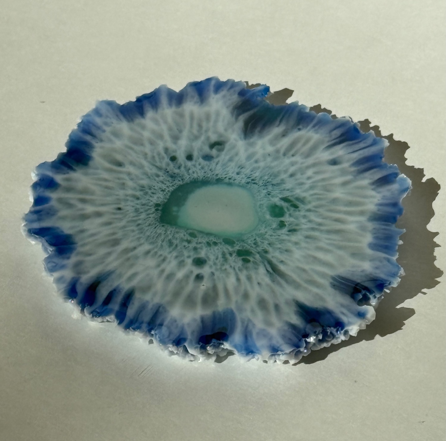 Blue lace flower coaster view 3