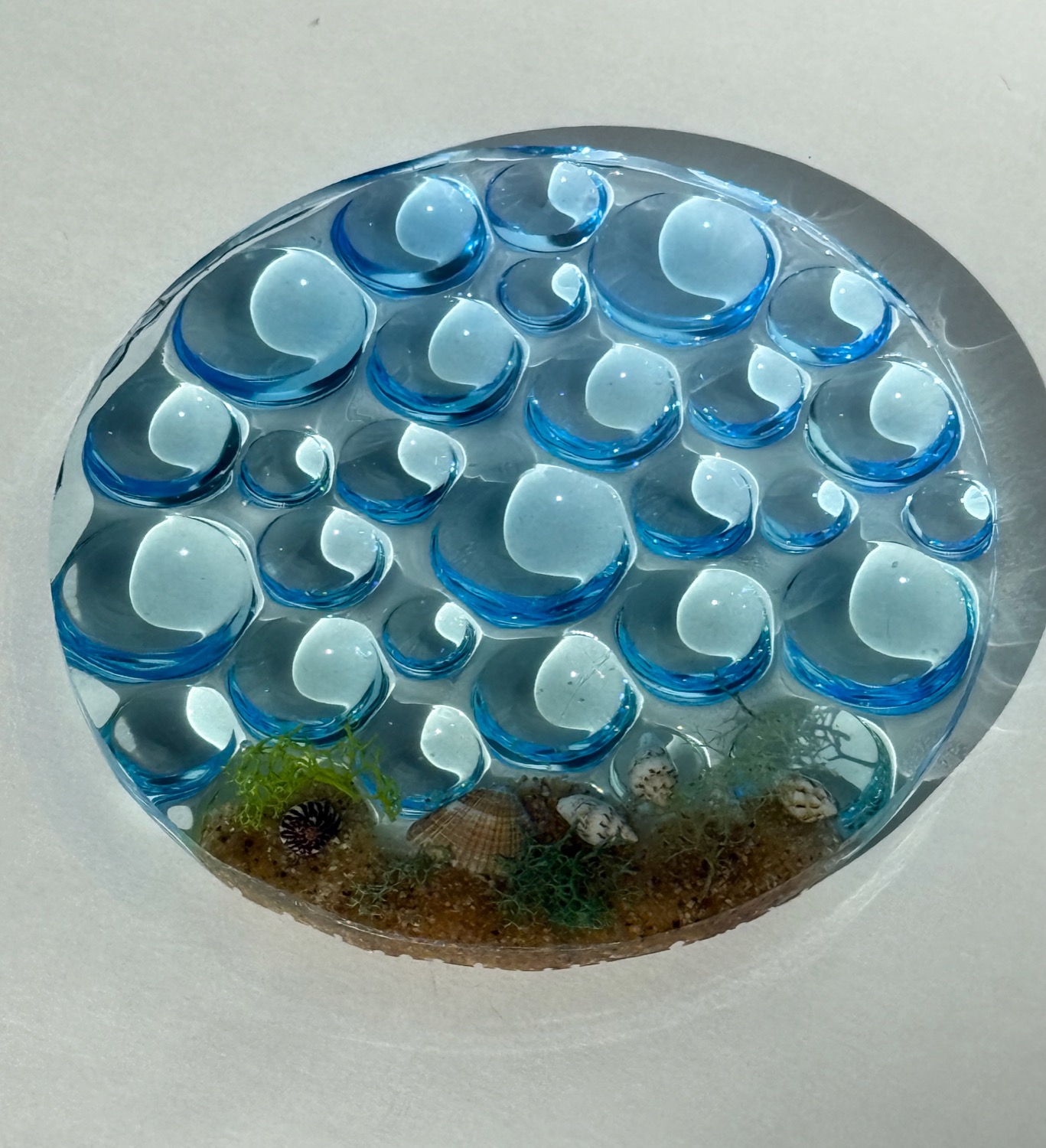 Ocean bubble coaster view 2
