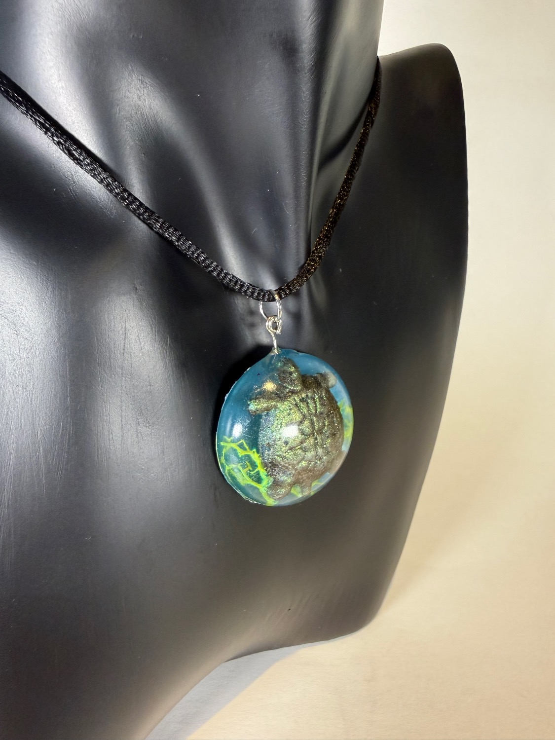 Sea turtle circle view 3