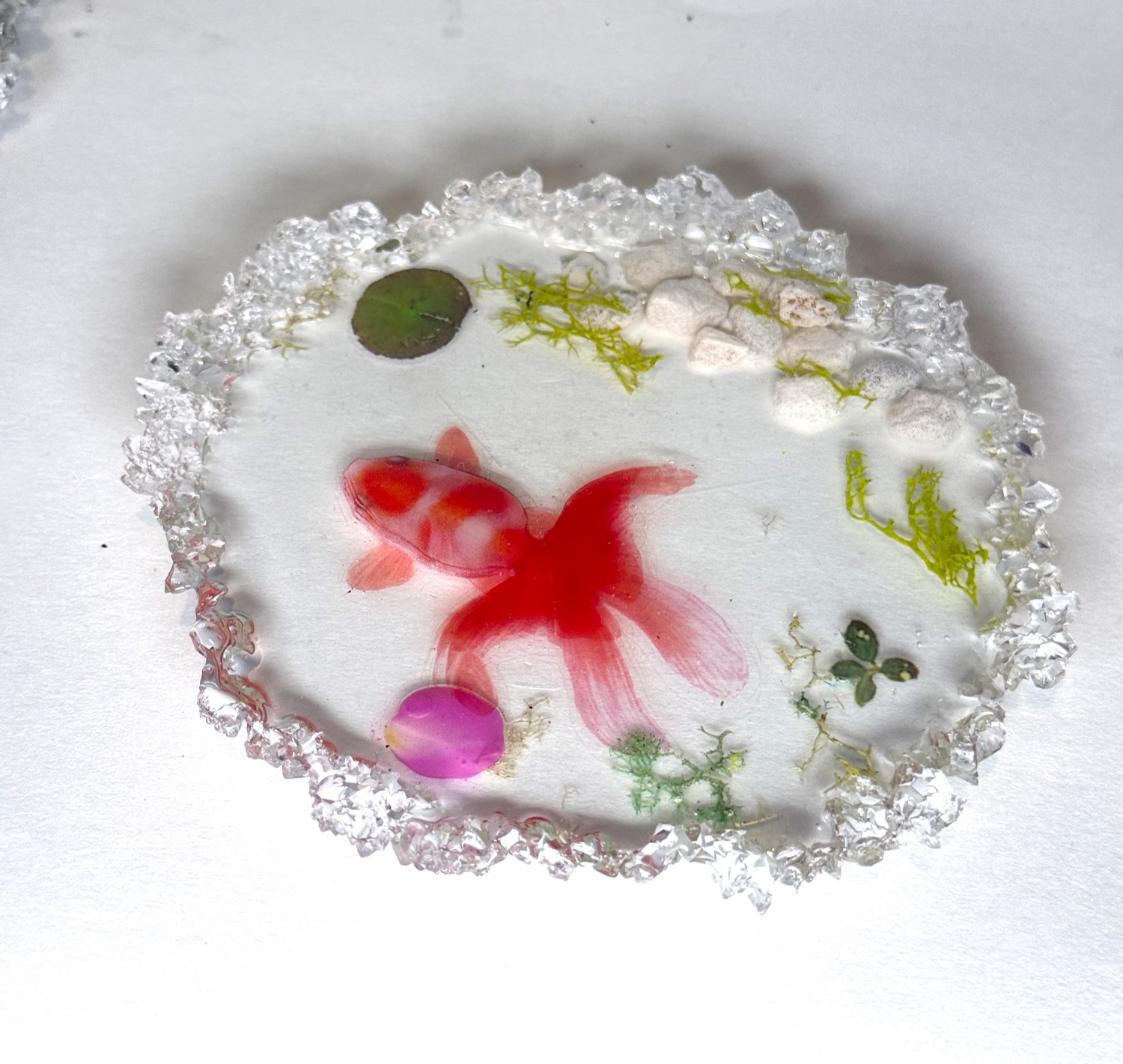 Koi pond coaster view 2