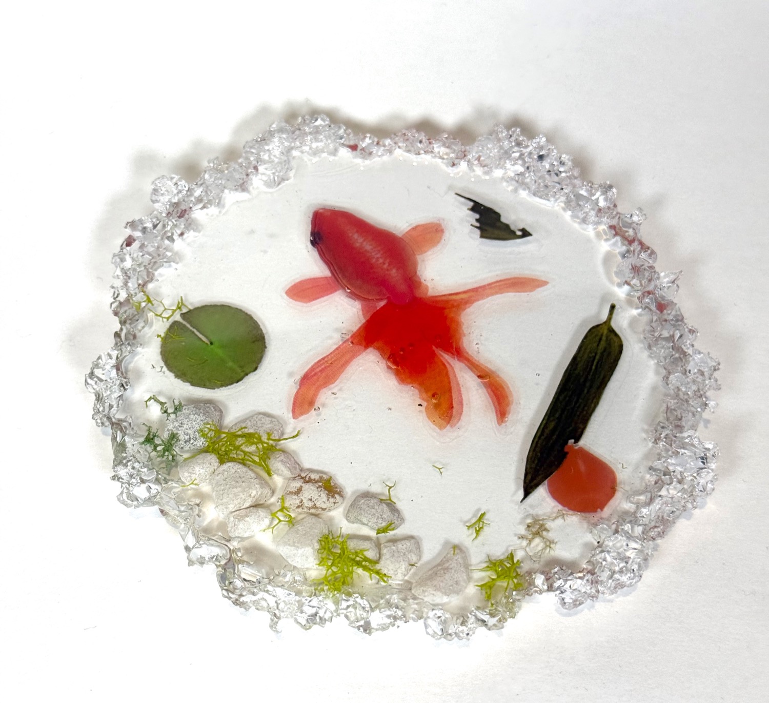 Koi pond coaster view 4