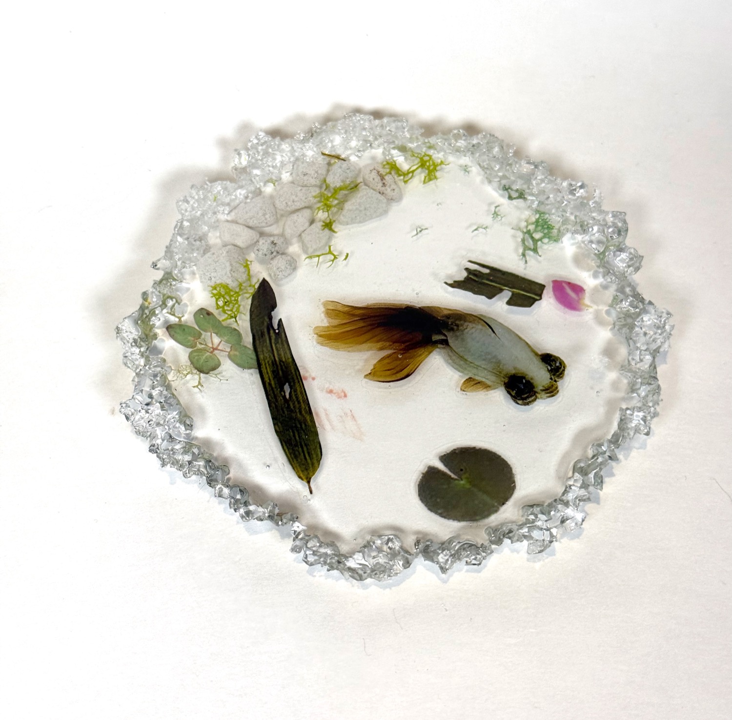 Koi pond coaster view 5