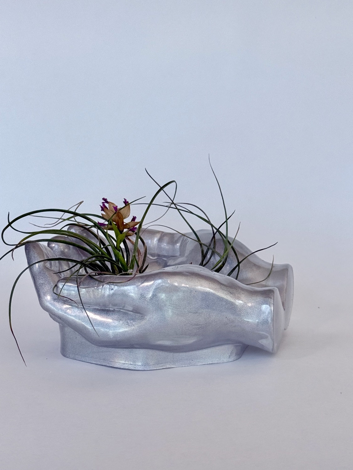Air Plant Hands view 2