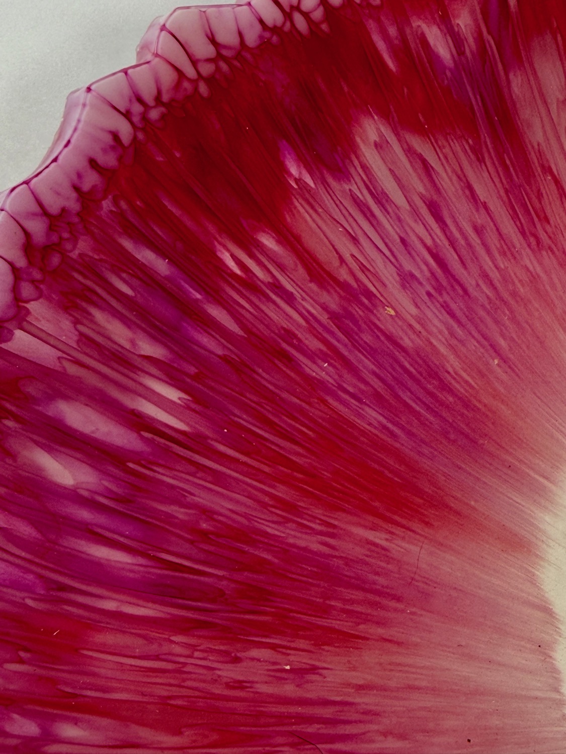 Wild Rose Platter edge closeup