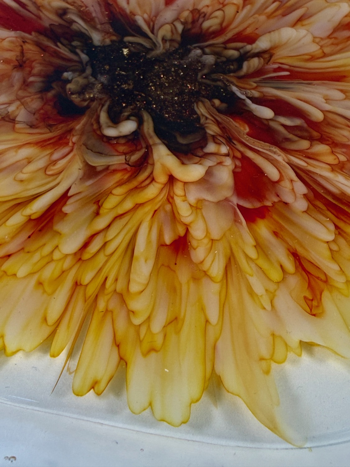Chrysanthemum Plate flower closeup