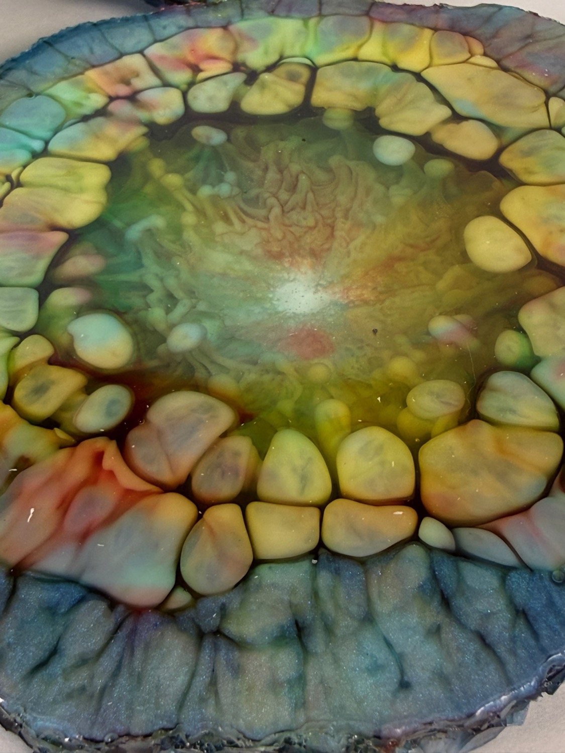Tide Pool coaster close-up