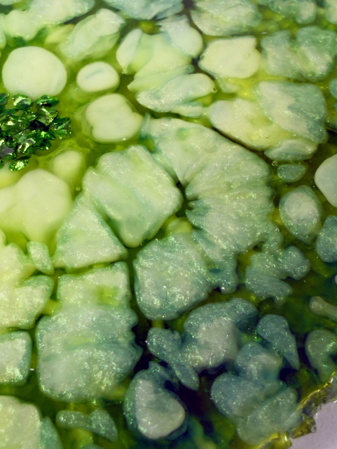 Jade Geode coaster cellular pattern close-up
