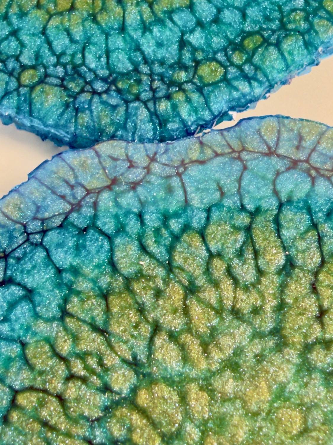 Lagoon Geode coaster macro detail