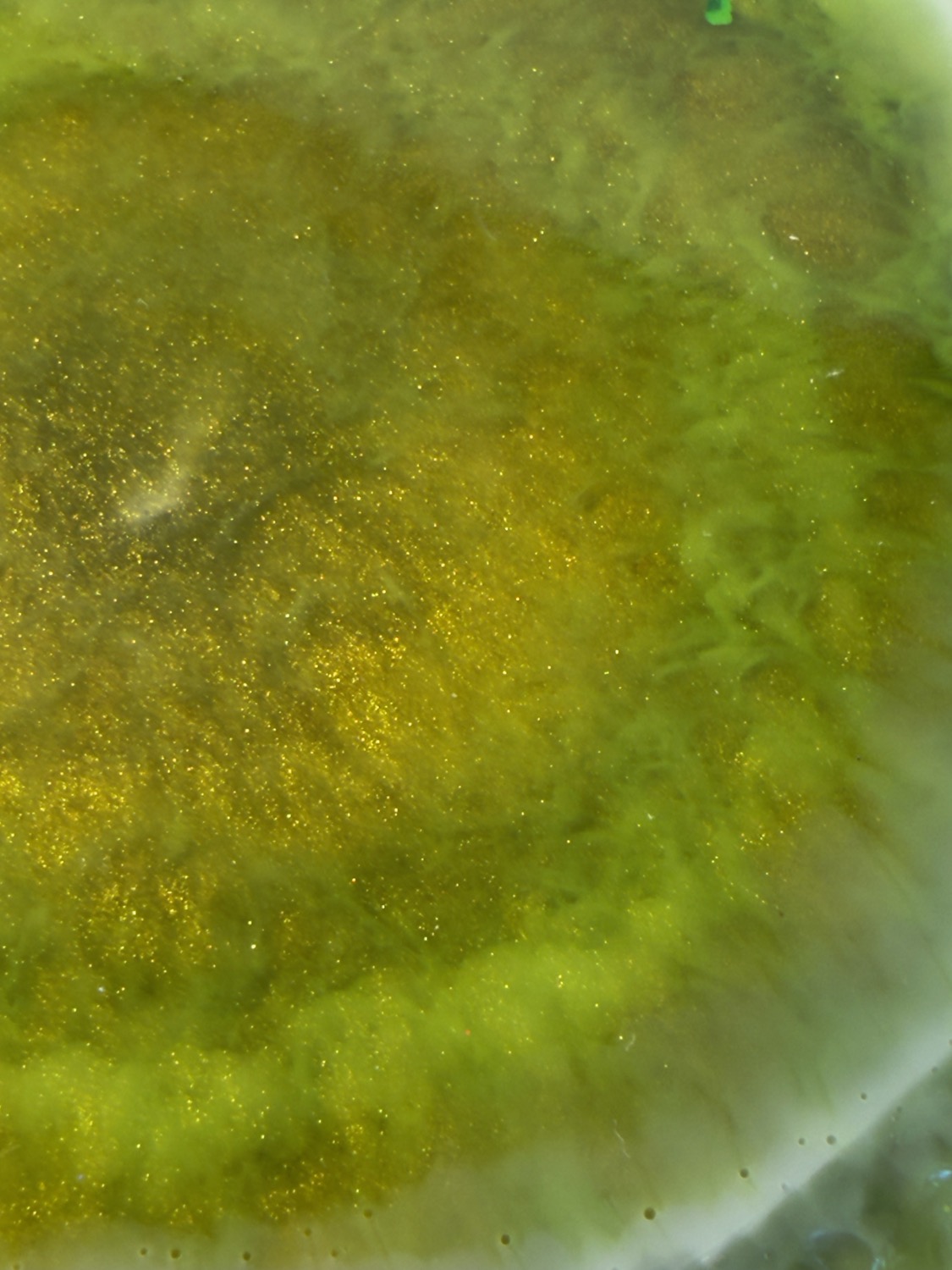Olive Gold Geode coaster macro detail