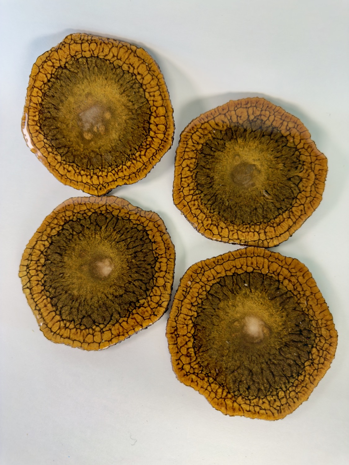 Set of 4 amber and gold crackle geode resin coasters with dark olive centres