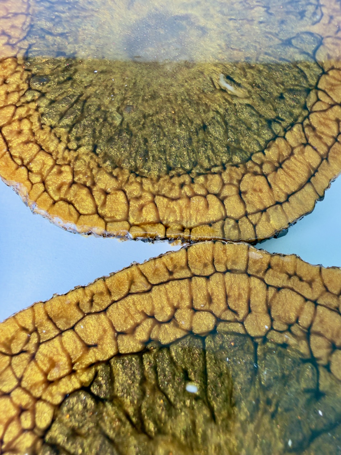 Amber Geode coaster crackle close-up