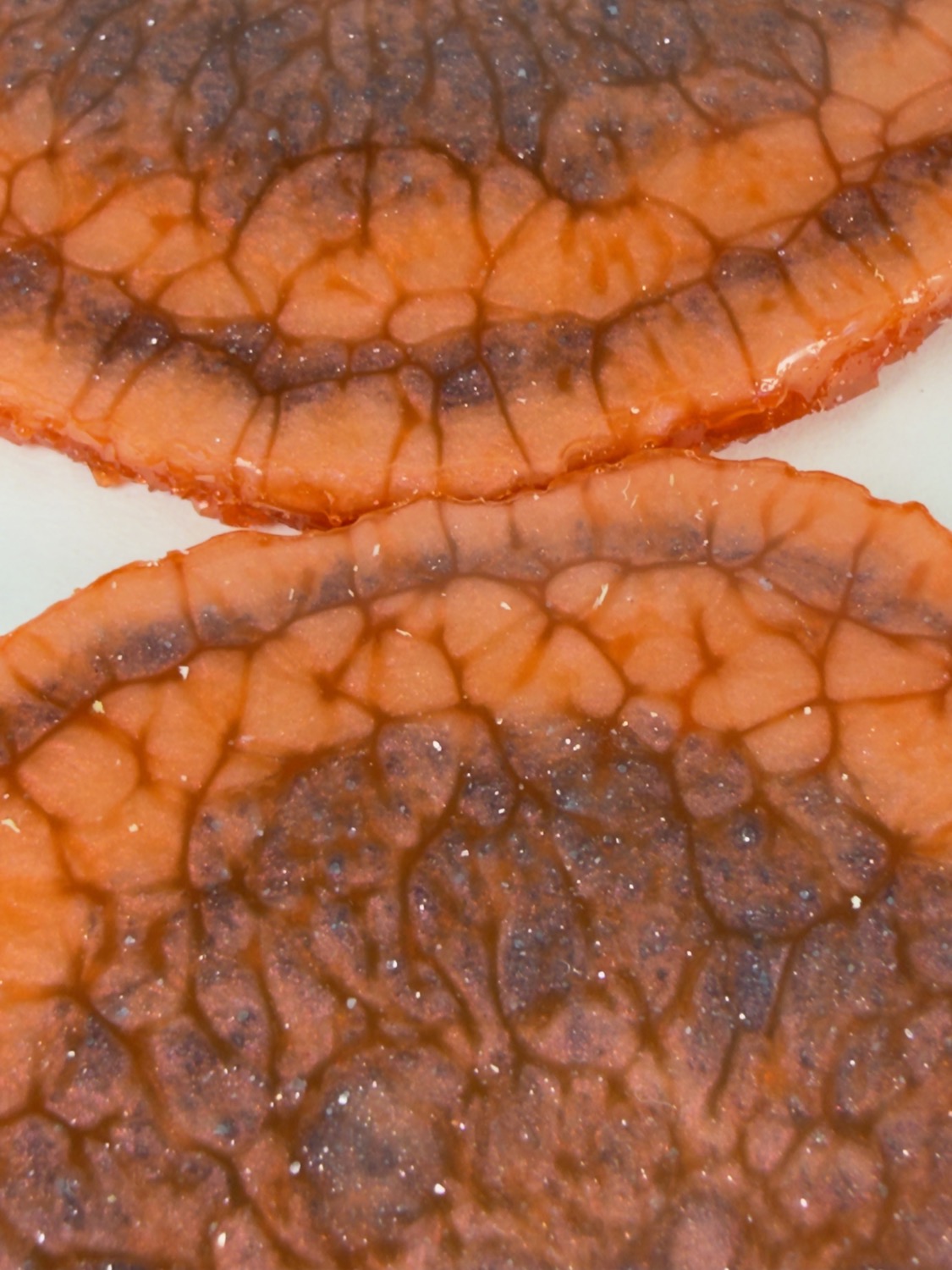 Terracotta Geode coaster macro detail