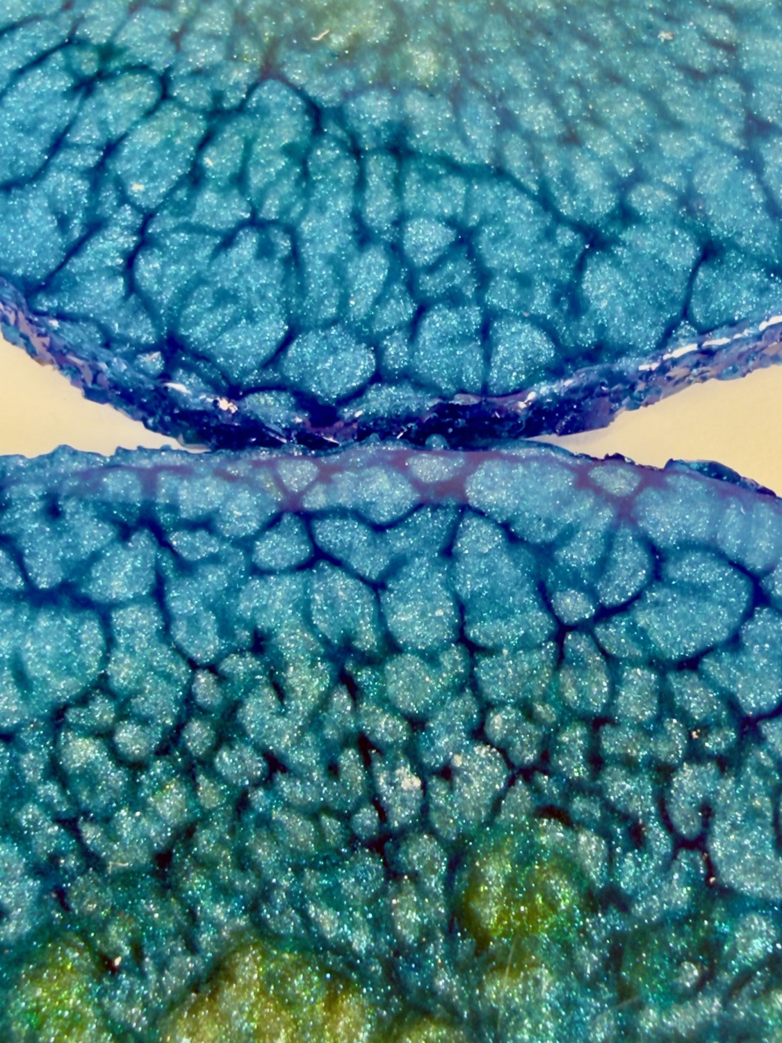 Cobalt Bloom coaster cell pattern macro