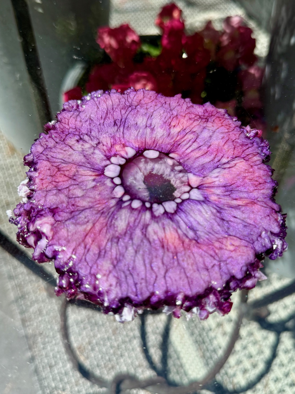 Amethyst Bloom coaster outdoor view