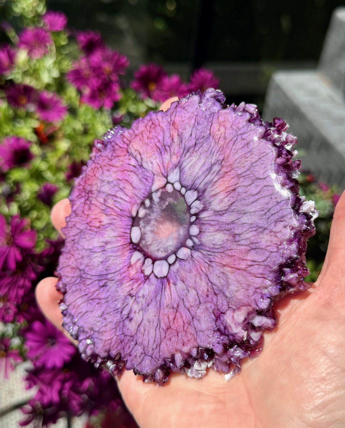 Amethyst Bloom coaster held in hand outdoors
