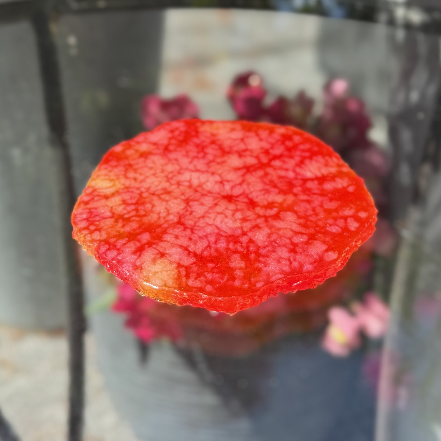 Poppy coaster outdoor view