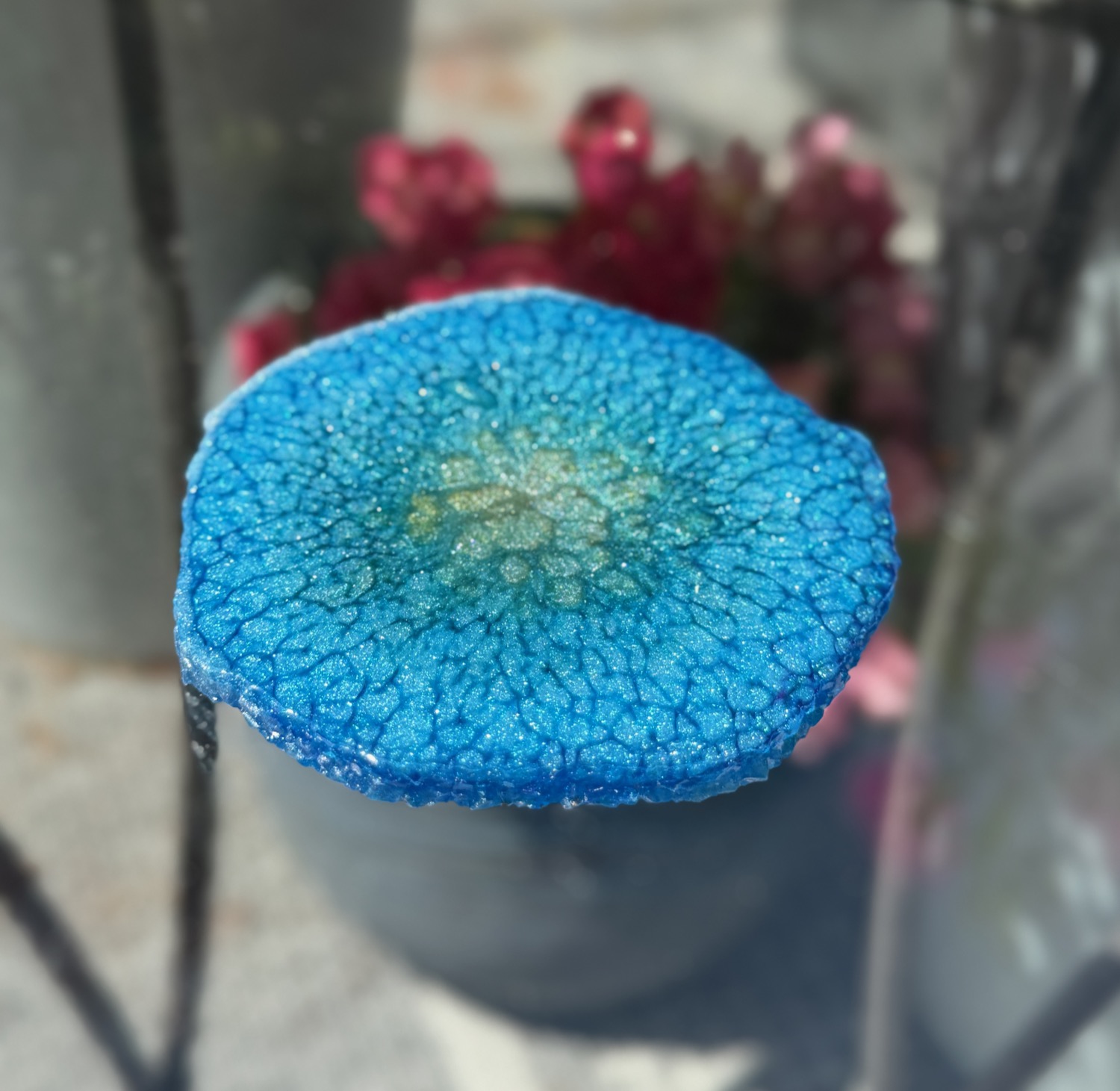 Cobalt Bloom coaster outdoor view