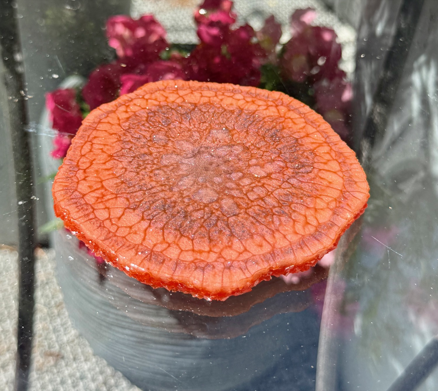 Terracotta Geode coaster outdoor view