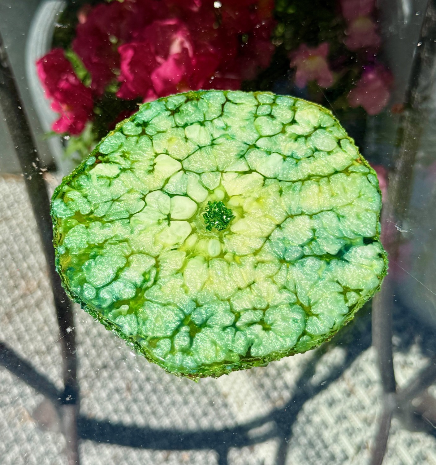 Jade Geode coaster outdoor view