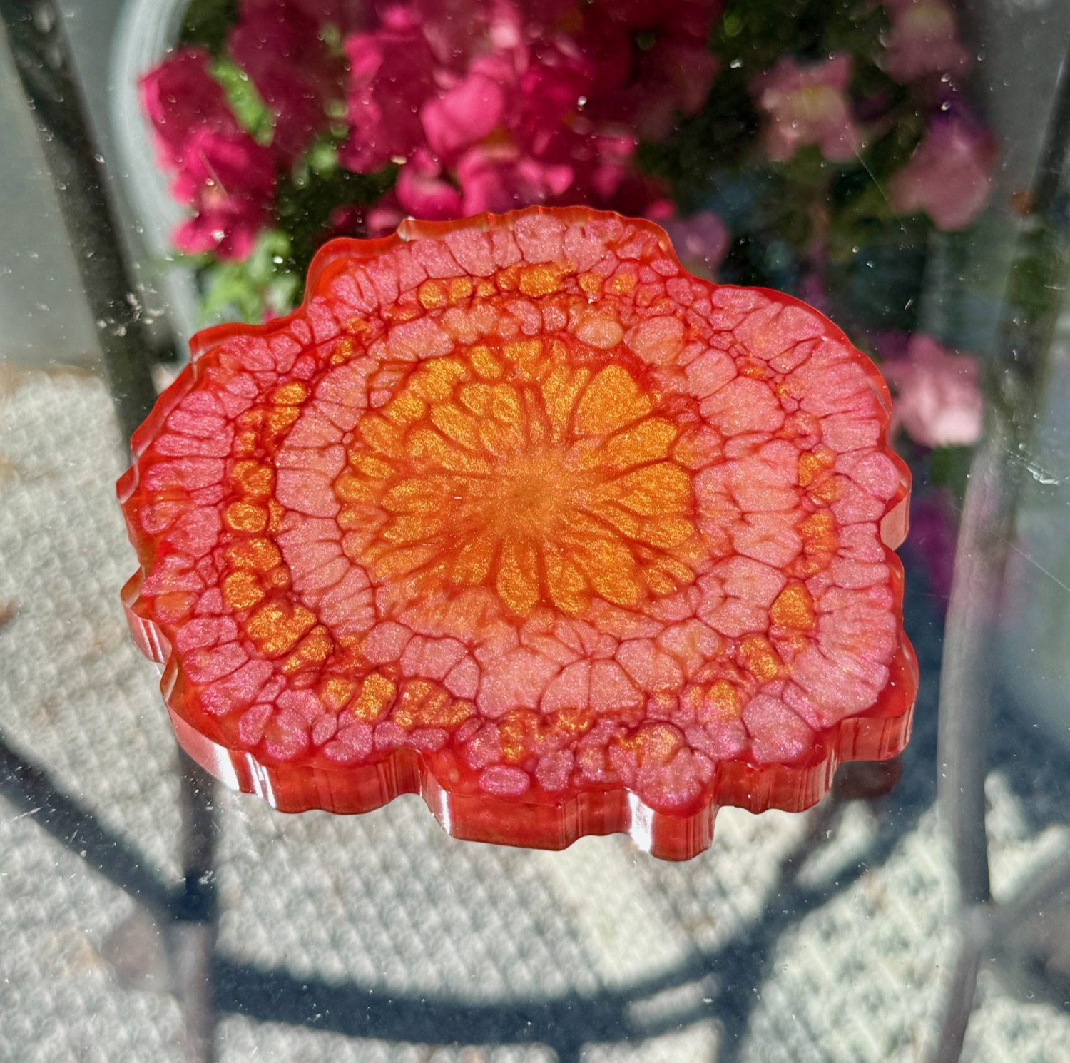 Marigold coaster outdoor view