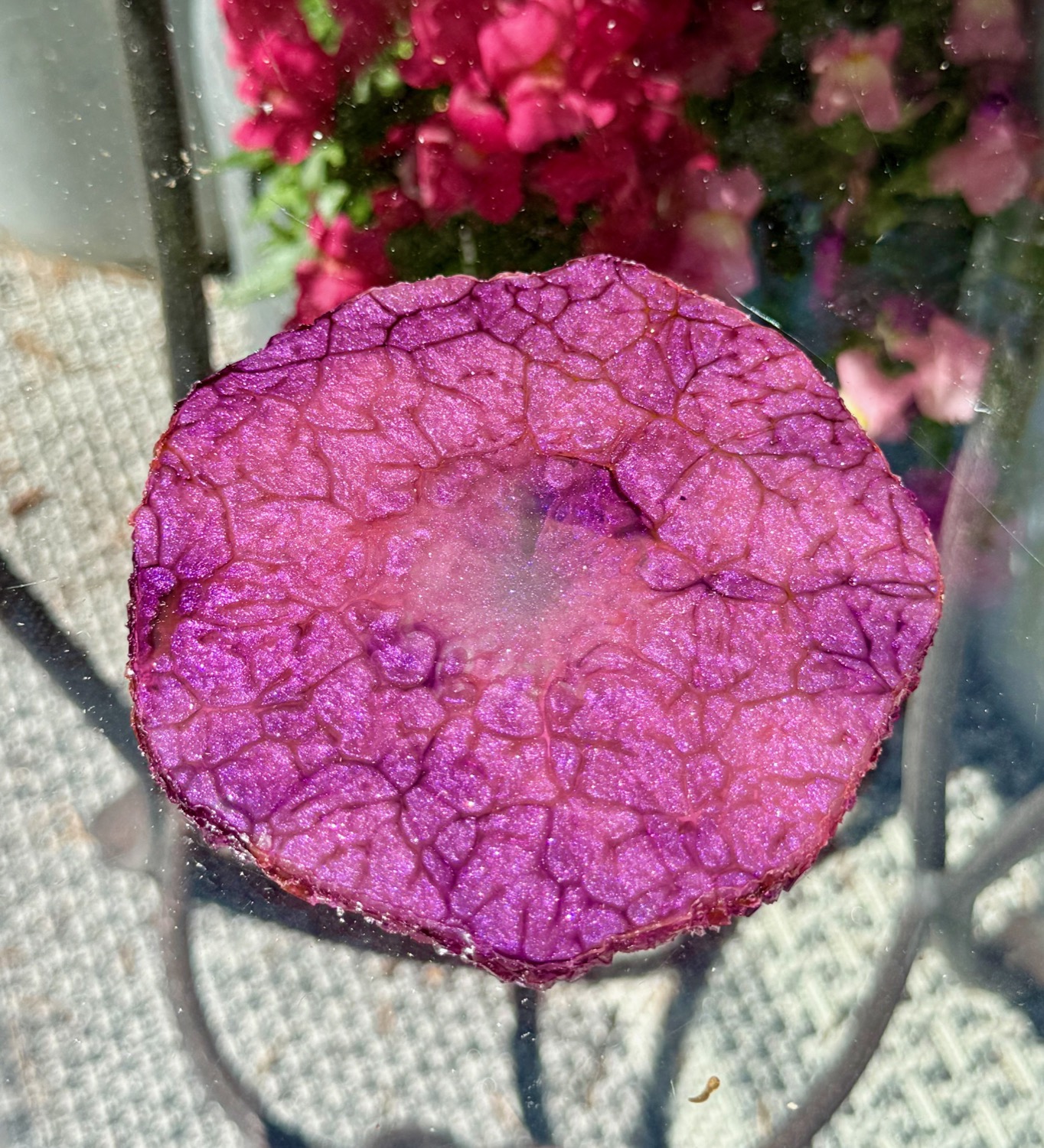 Magenta Geode coaster outdoor view
