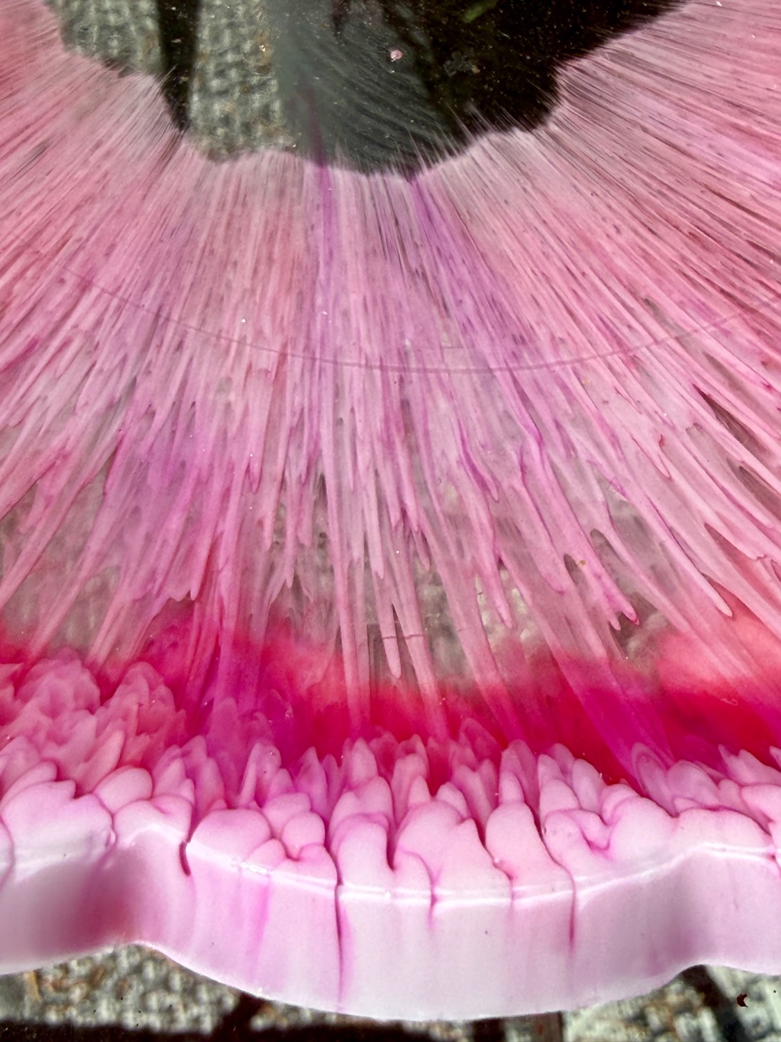 Wild Rose Platter outdoor edge detail