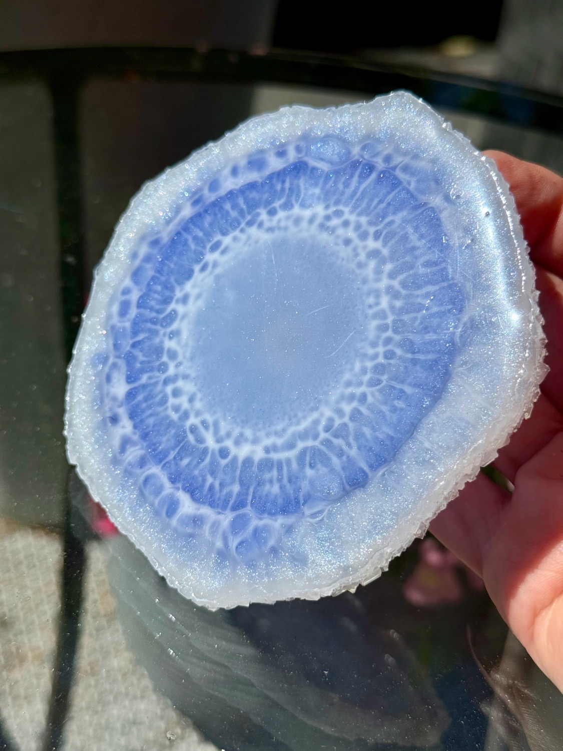 Periwinkle side held in hand