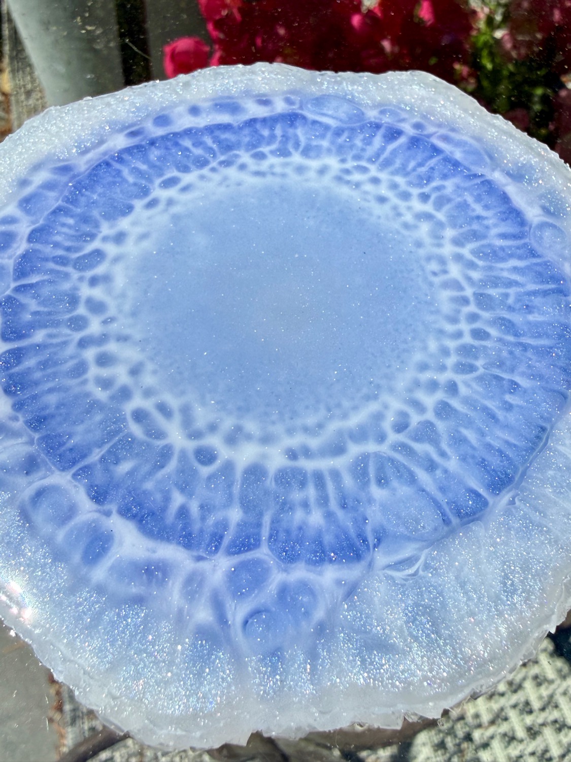Periwinkle side macro detail