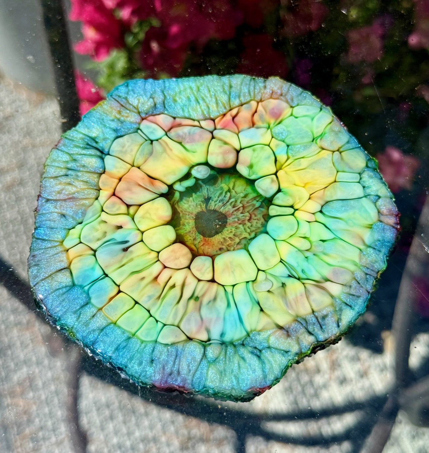 Tide Pool coaster outdoor view