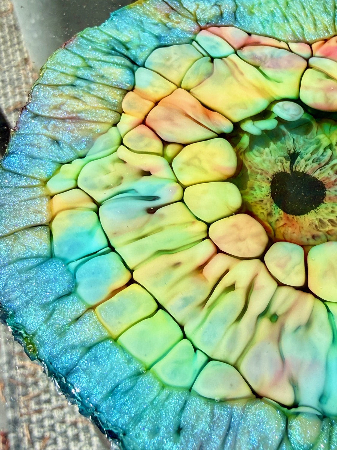 Tide Pool coaster outdoor close-up