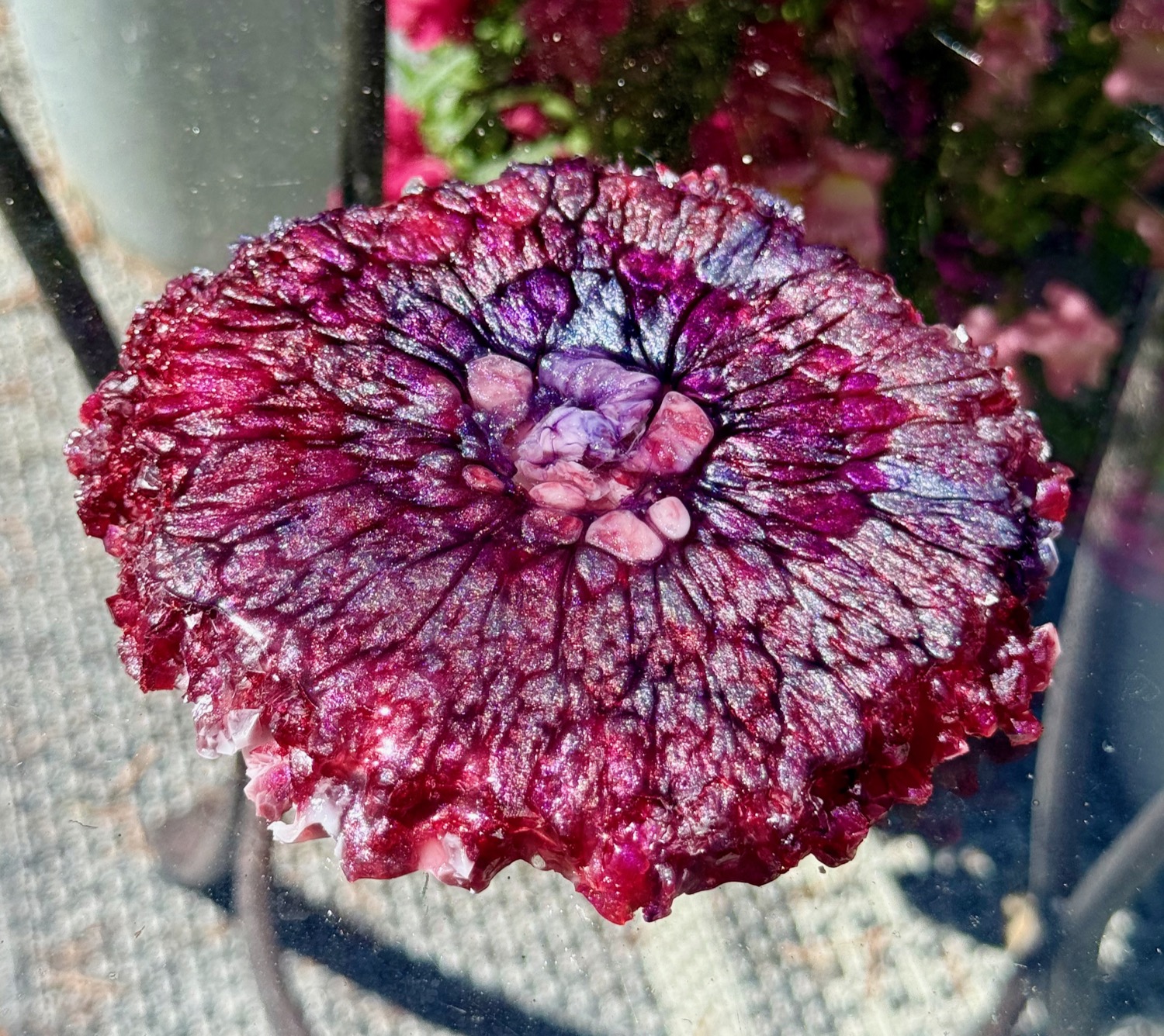 Crimson Geode coaster outdoor view