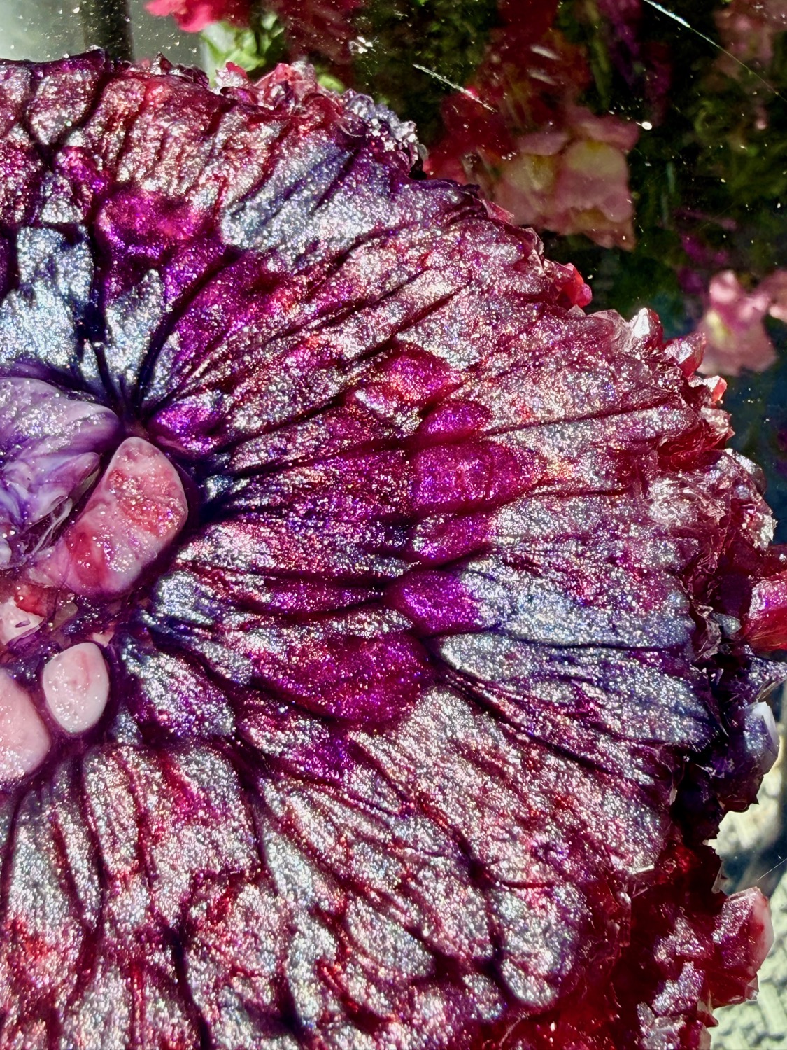 Crimson Geode coaster close-up detail