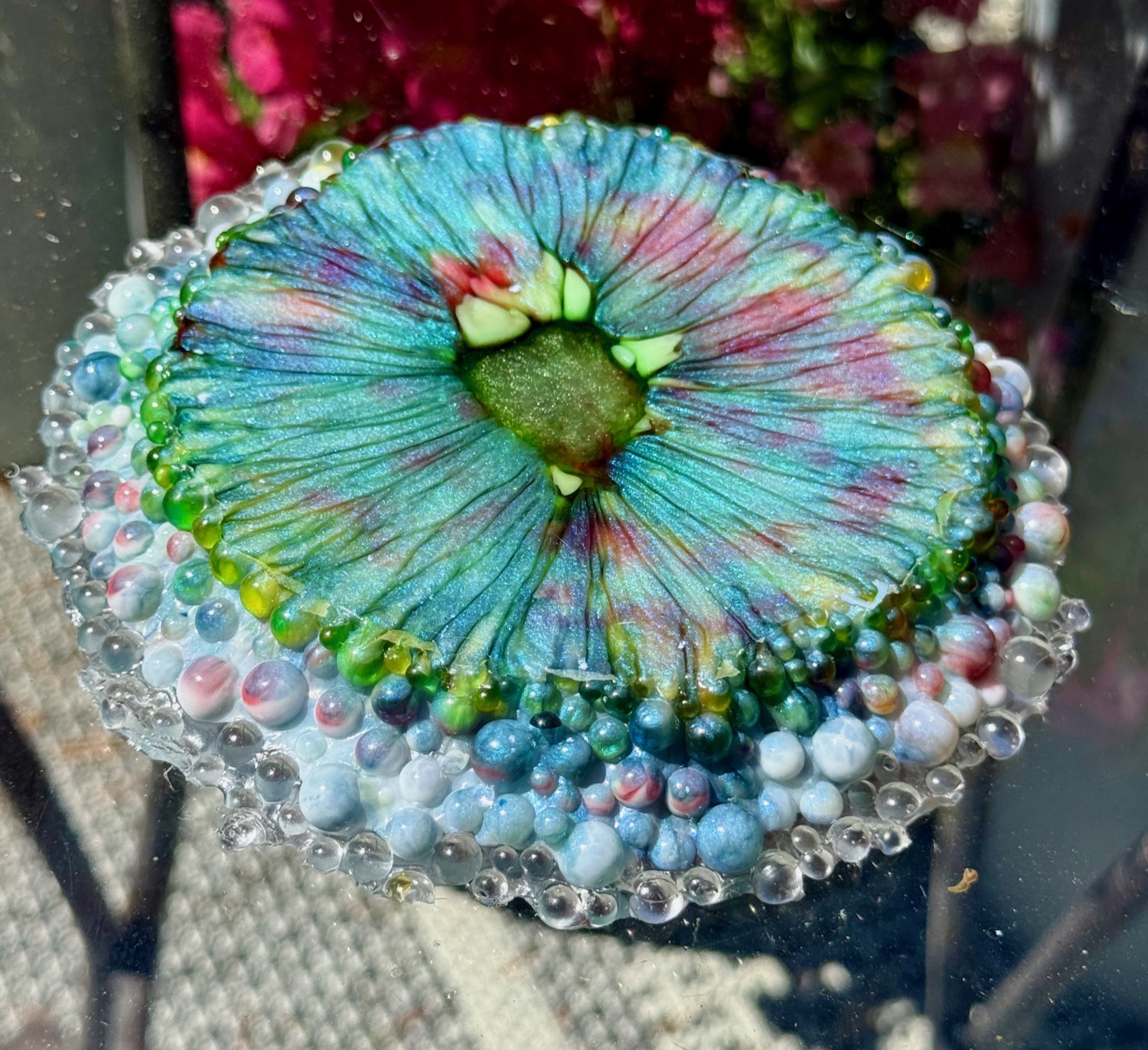 Ocean Daisy coaster outdoor lifestyle